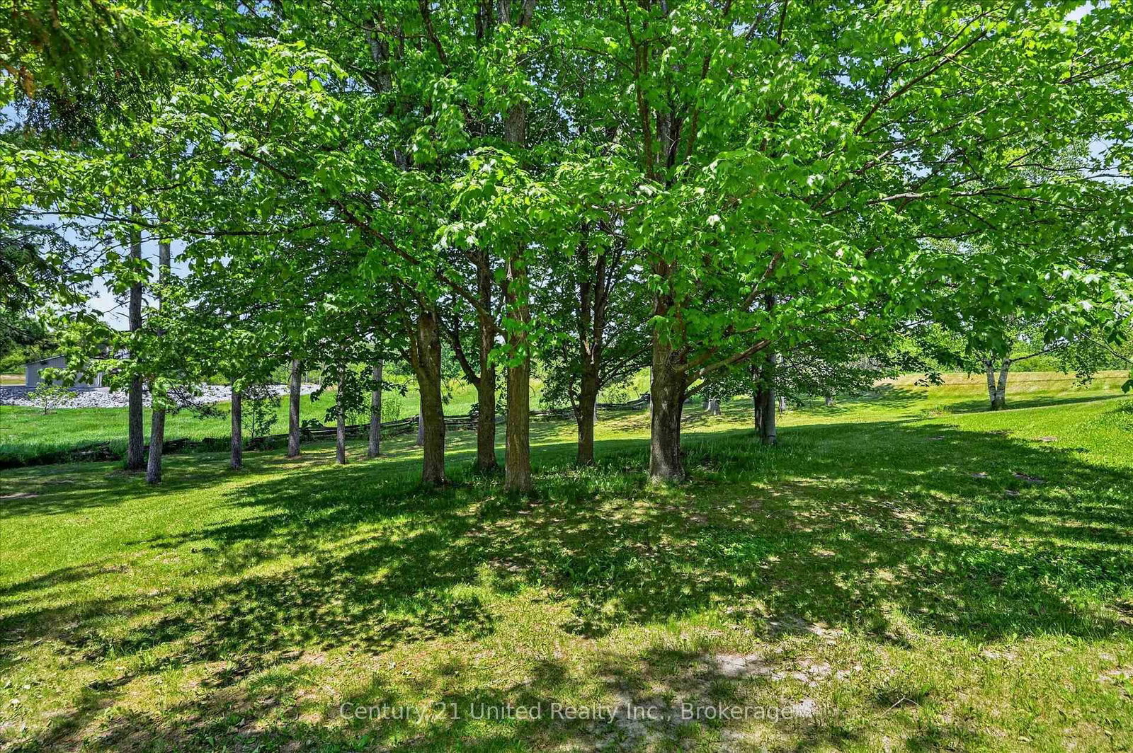 323 St Lawrence Street W • Madoc, ON photo 43