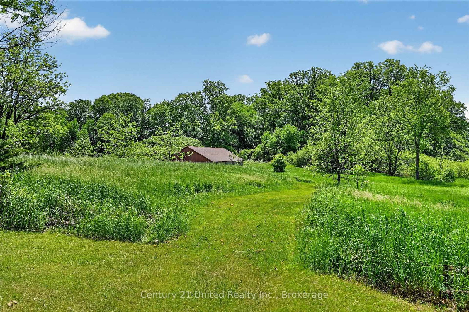 323 St Lawrence Street W • Madoc, ON photo 44