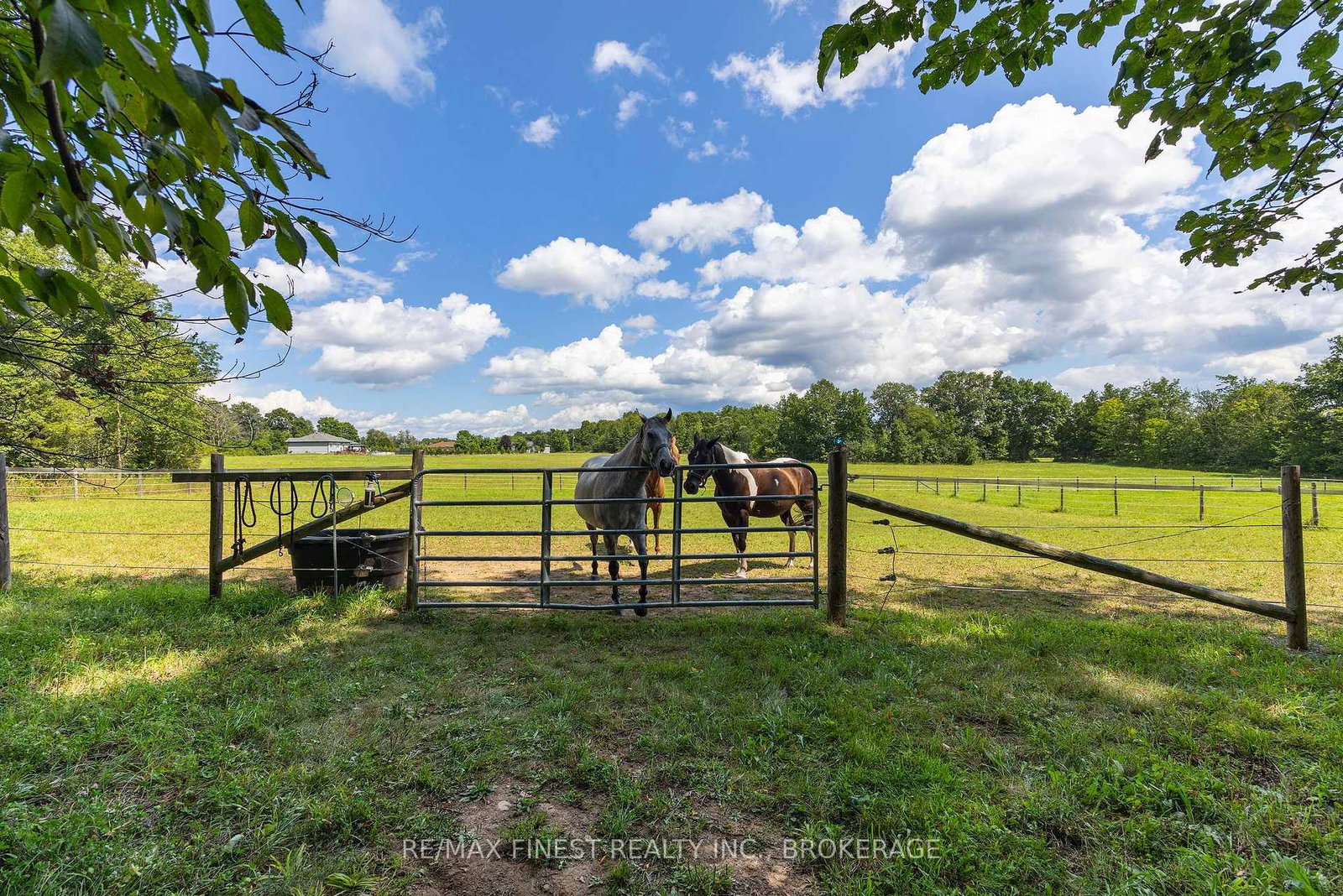 2961 Railton Road • Harrowsmith, ON photo 35