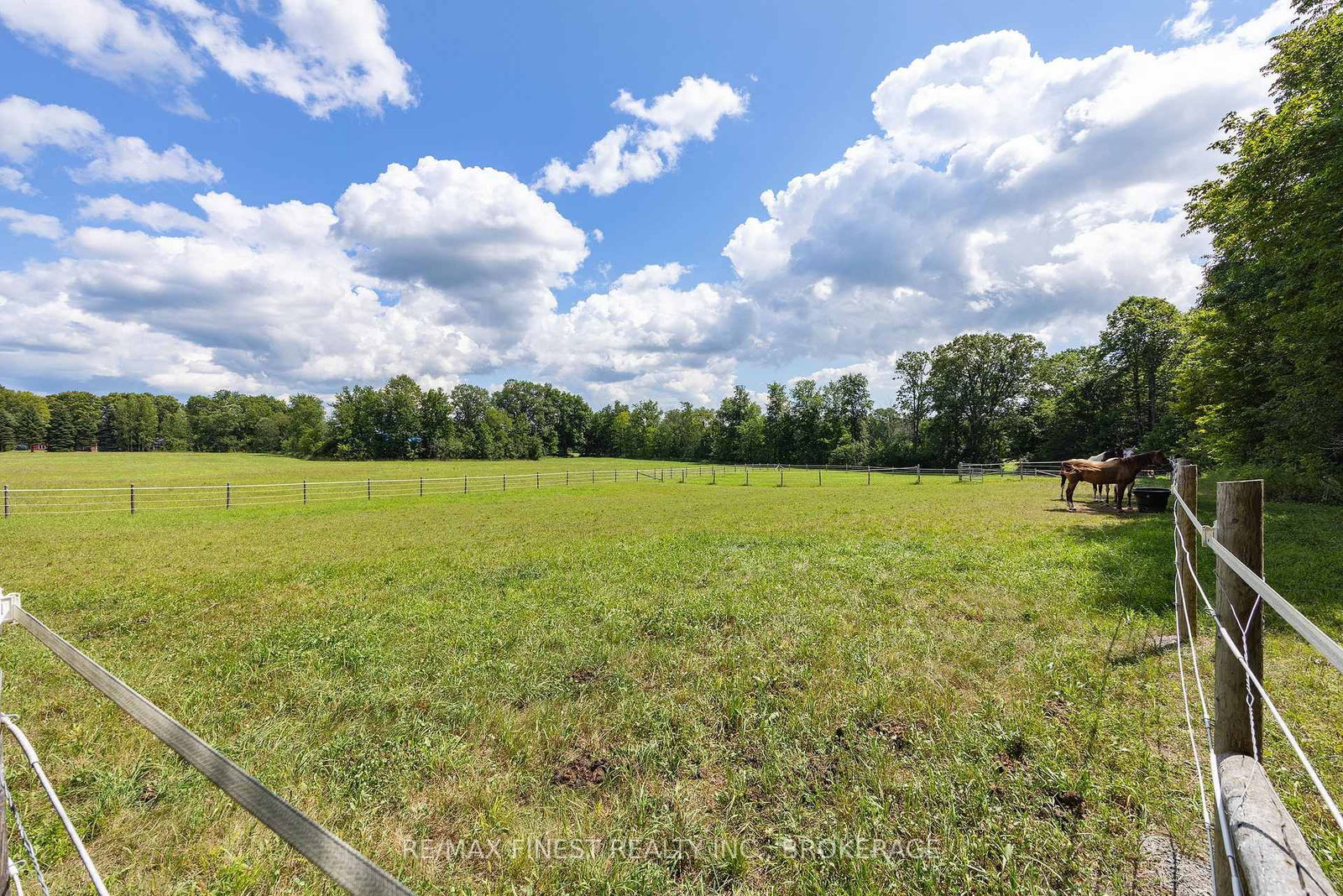 2961 Railton Road • Harrowsmith, ON photo 36