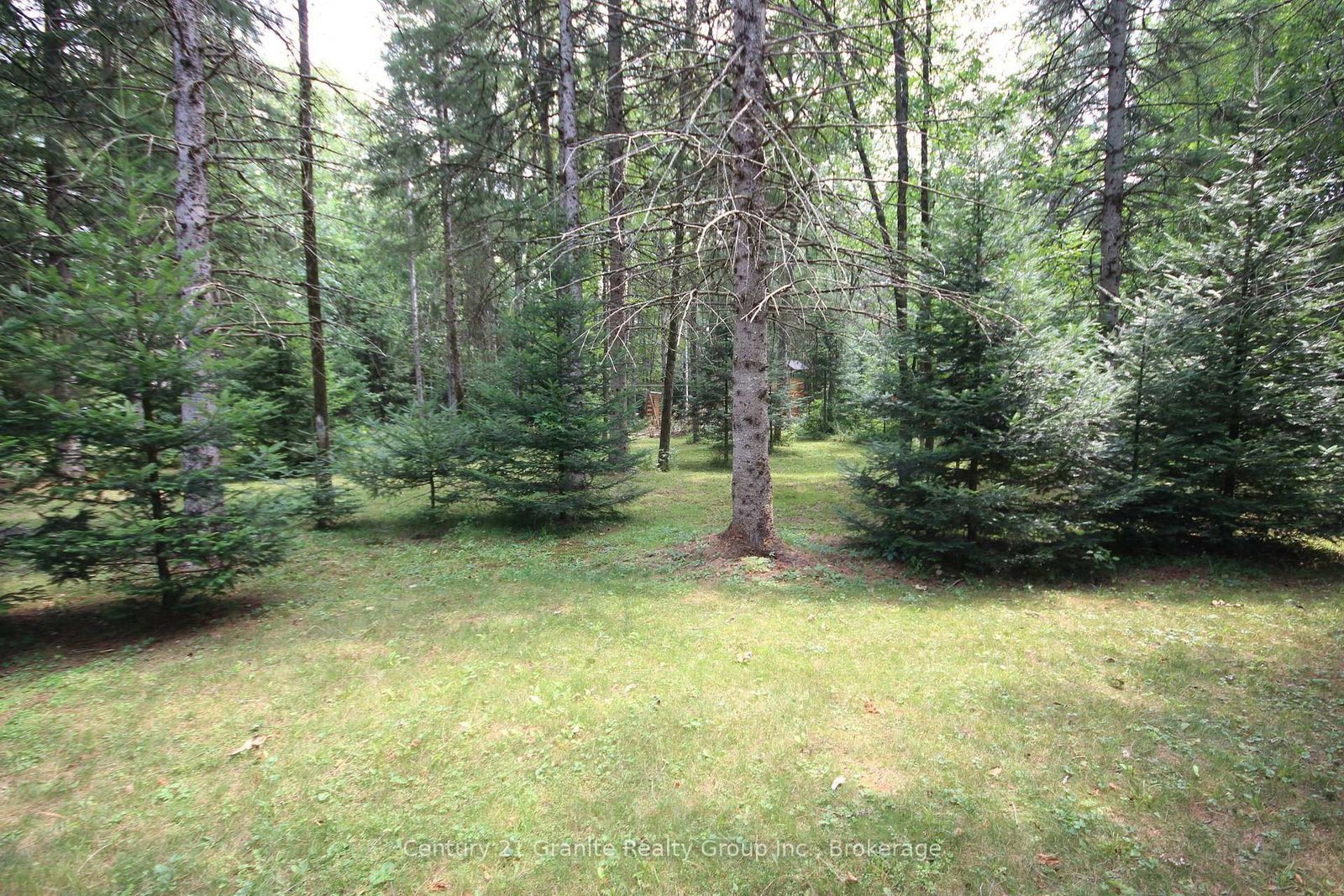 1082 Green Lake Road • Algonquin Highlands, ON photo 32