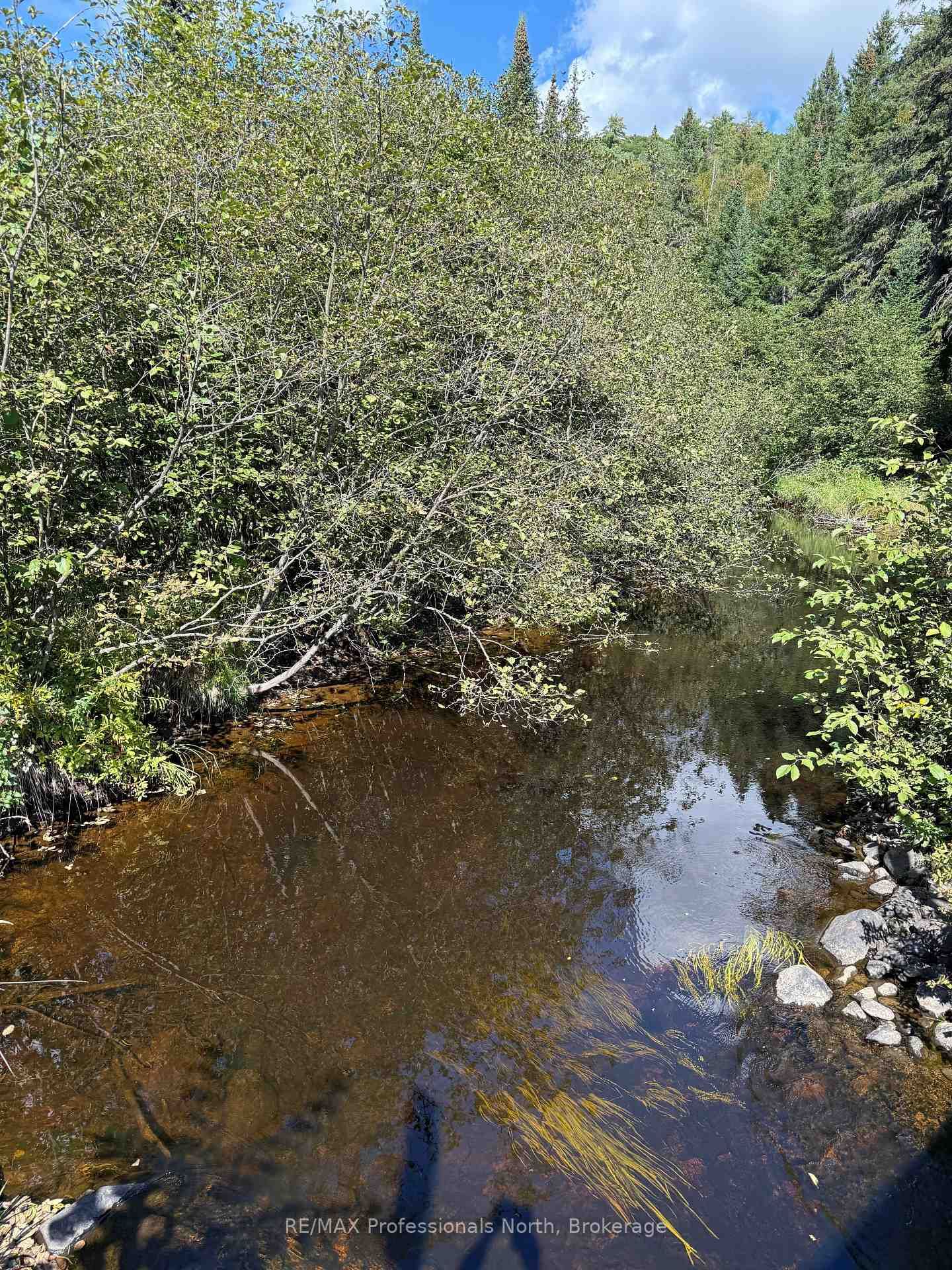 83 Ceramic Mine Road North Road • Huntsville, ON photo 31