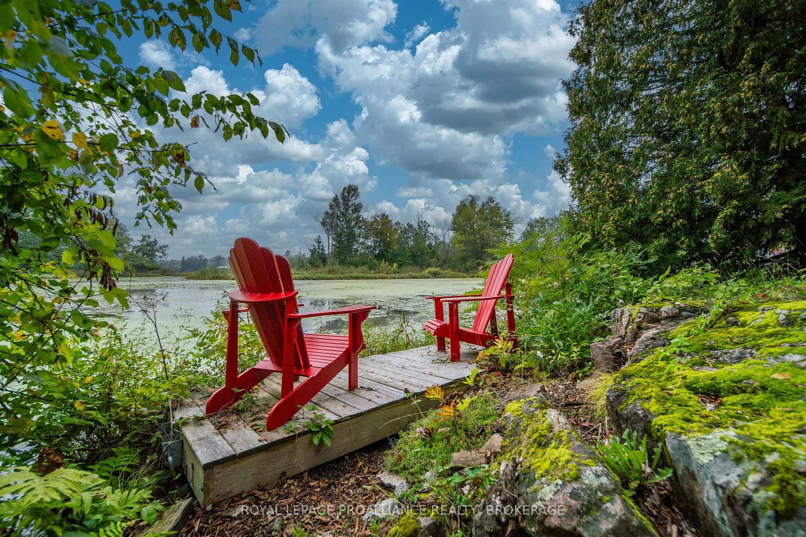 4781 Wilmer Road • Perth Road, ON photo 38