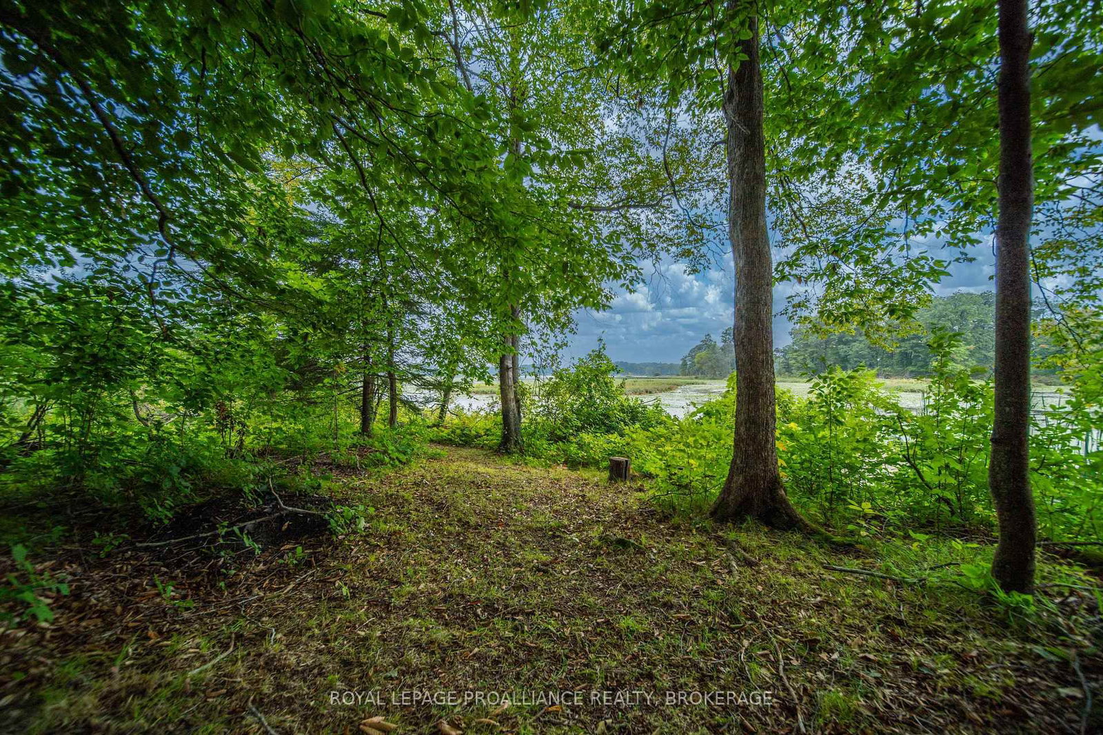 4781 Wilmer Road • Perth Road, ON photo 39