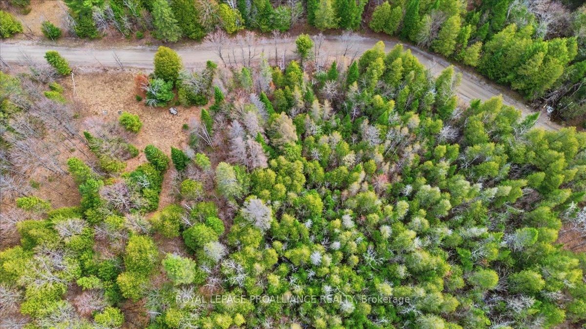 1860 North Road • Plevna, ON photo 10