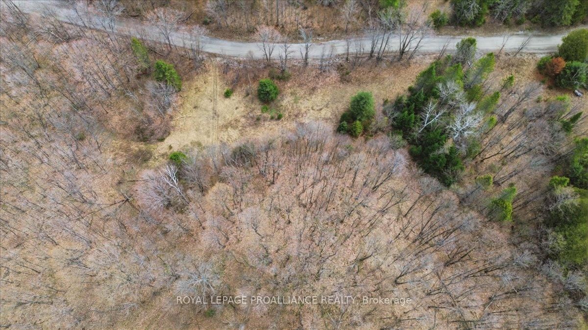 1860 North Road • Plevna, ON photo 11