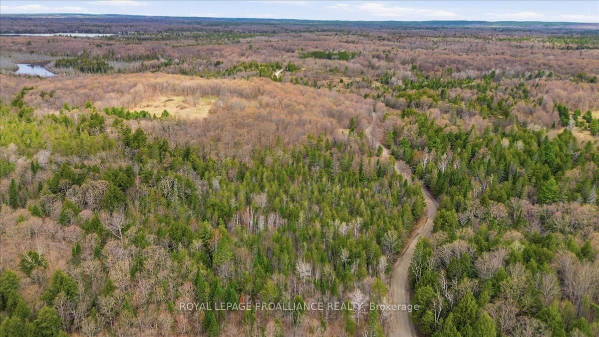 1860 North Road • Plevna, ON photo 12
