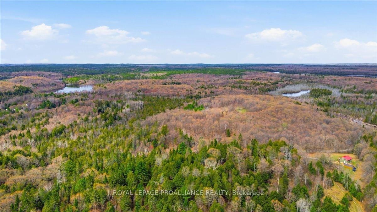 1860 North Road • Plevna, ON photo 13