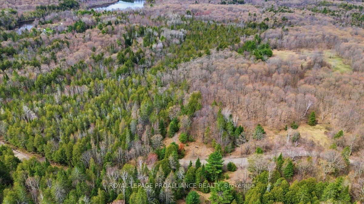 1860 North Road • Plevna, ON photo 14