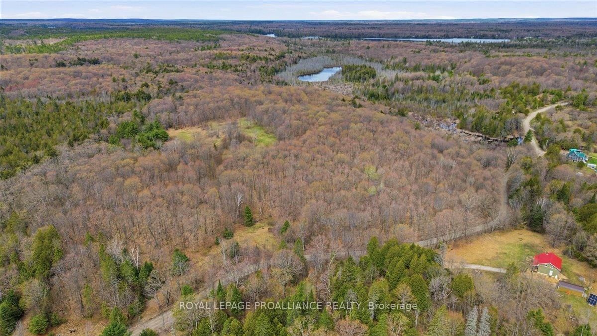 1860 North Road • Plevna, ON photo 15