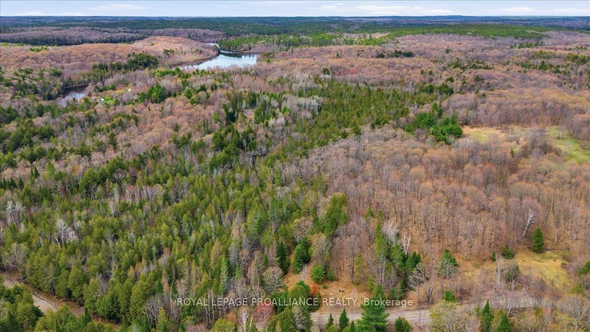 1860 North Road • Plevna, ON photo 16
