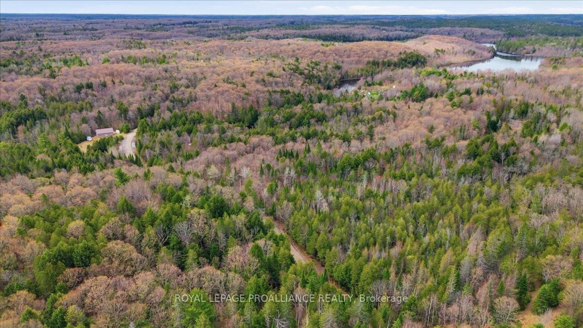 1860 North Road • Plevna, ON photo 17