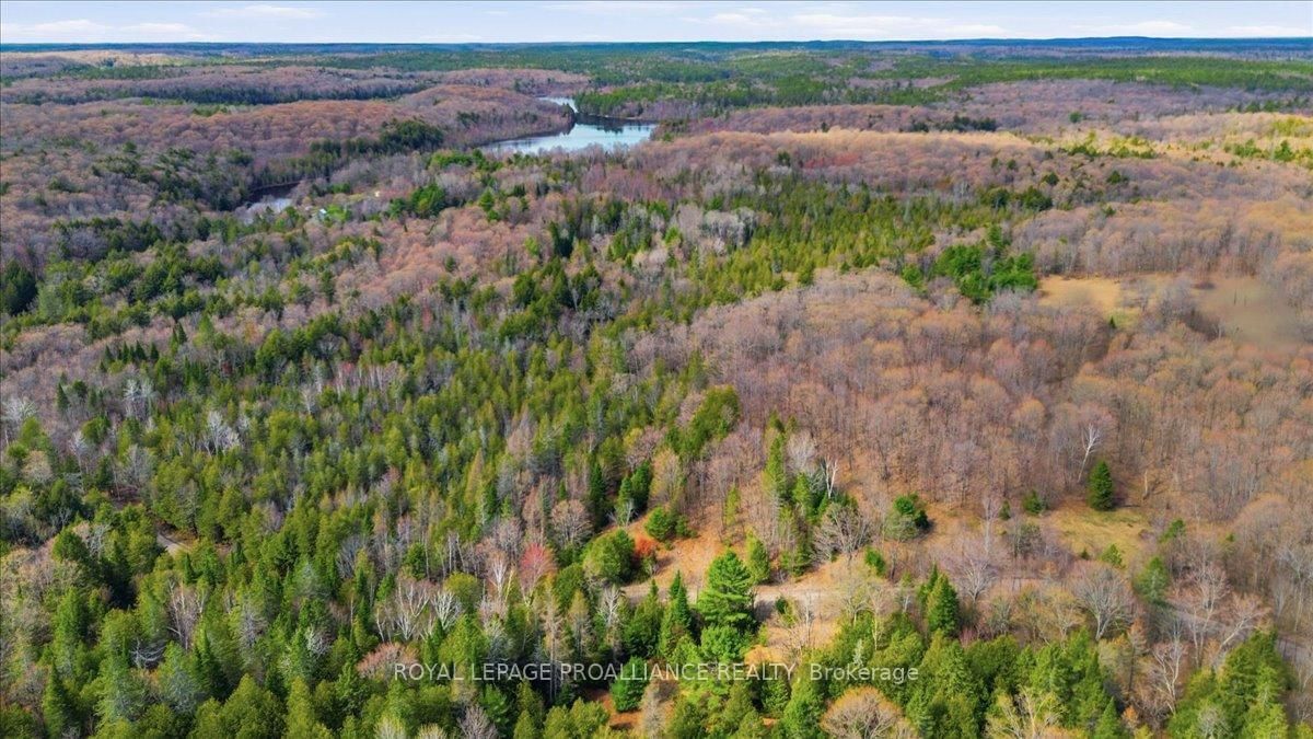1860 North Road • Plevna, ON photo 4