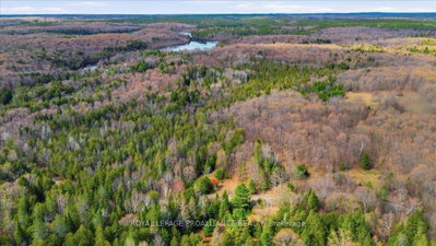 1860 North Road • Plevna, ON photo 4