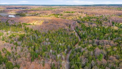 1860 North Road • Plevna, ON photo 5