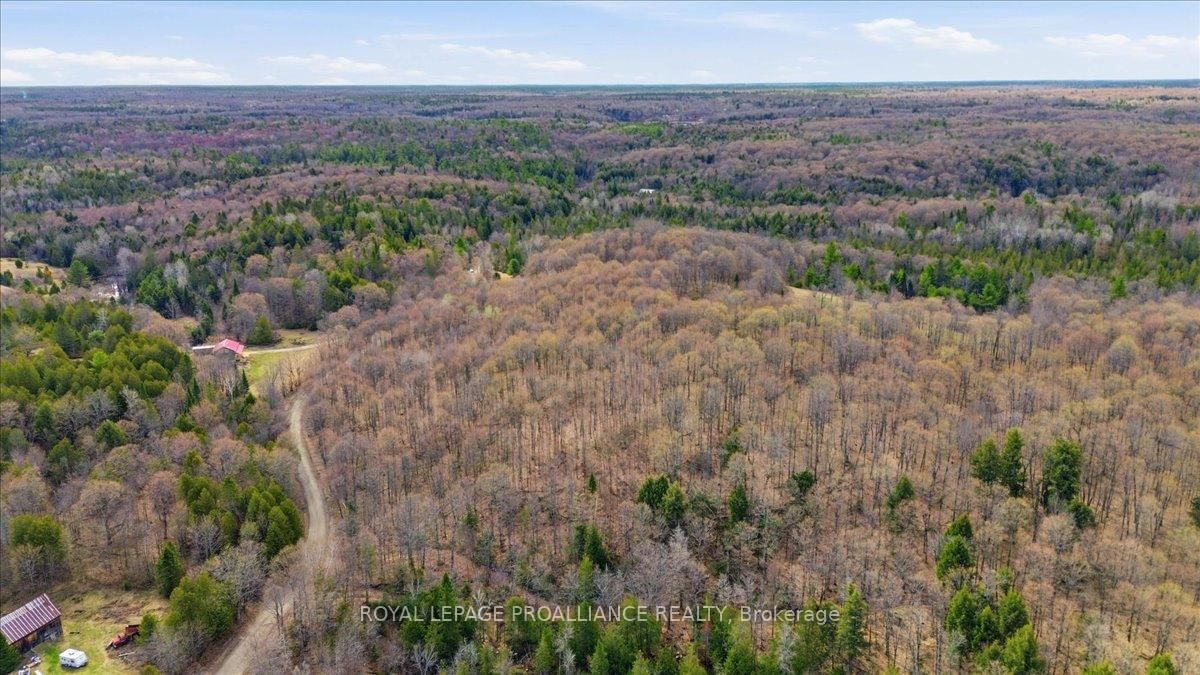1860 North Road • Plevna, ON photo 6