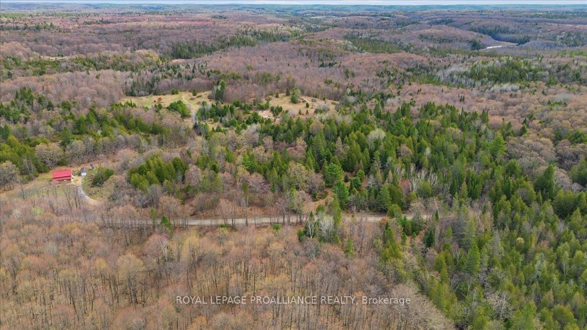 1860 North Road • Plevna, ON photo 8