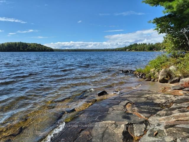 2193 Fern Glen Road • McMurrich/Monteith, ON photo 1