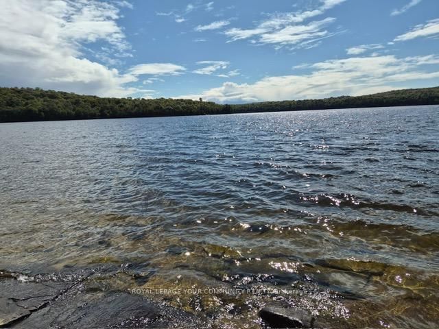 2193 Fern Glen Road • McMurrich/Monteith, ON photo 2
