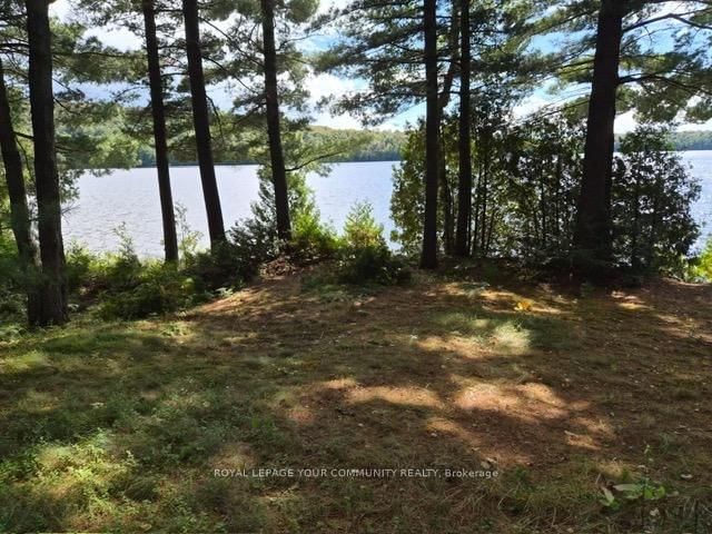 2193 Fern Glen Road • McMurrich/Monteith, ON photo 3