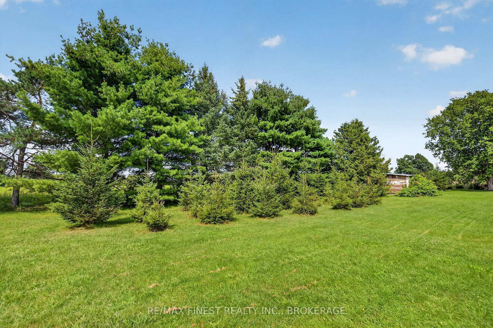 3005 Wilson Road • Harrowsmith, ON photo 39