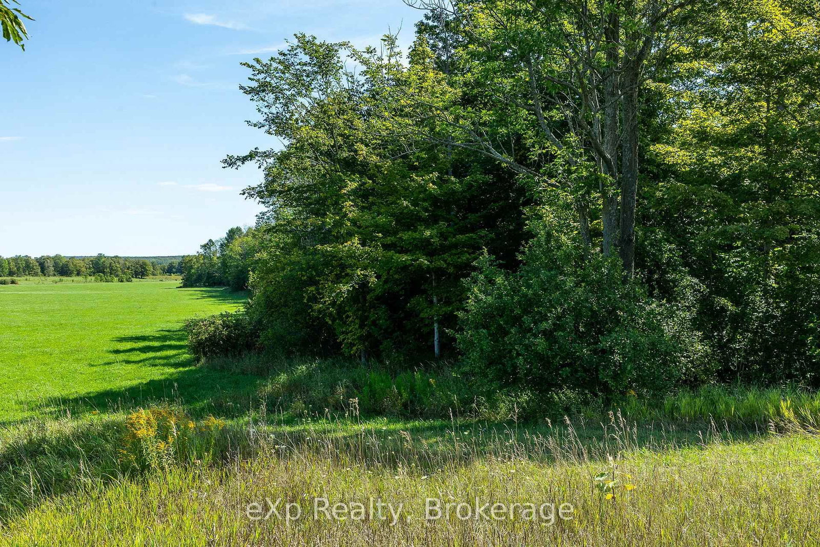 PT LT 2-3 CON 9, Bruce Rd 9 • South Bruce Peninsula, ON photo 14