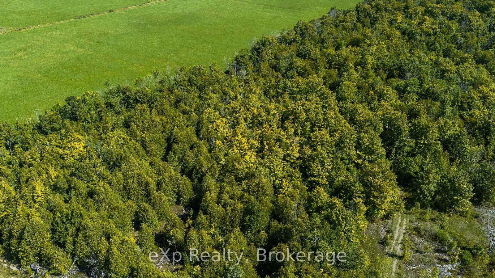 PT LT 2-3 CON 9, Bruce Rd 9 • South Bruce Peninsula, ON photo 5