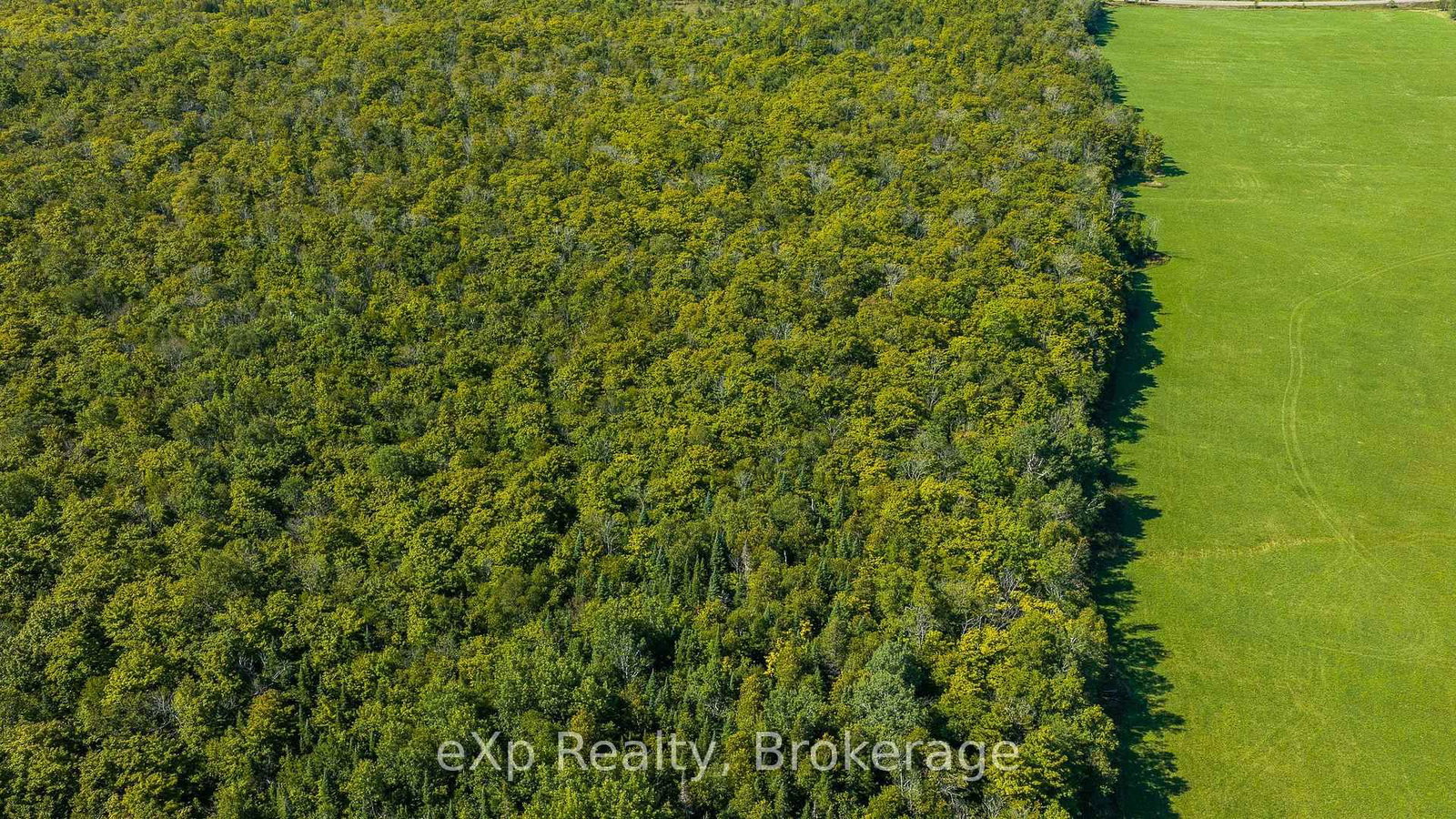 PT LT 2-3 CON 9, Bruce Rd 9 • South Bruce Peninsula, ON photo 8