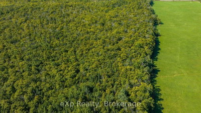 PT LT 2-3 CON 9, Bruce Rd 9 • South Bruce Peninsula, ON photo 8