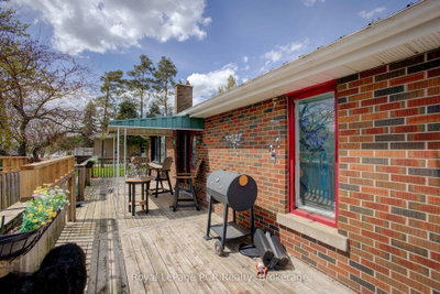460 Domville Street • Wellington North, ON photo 5