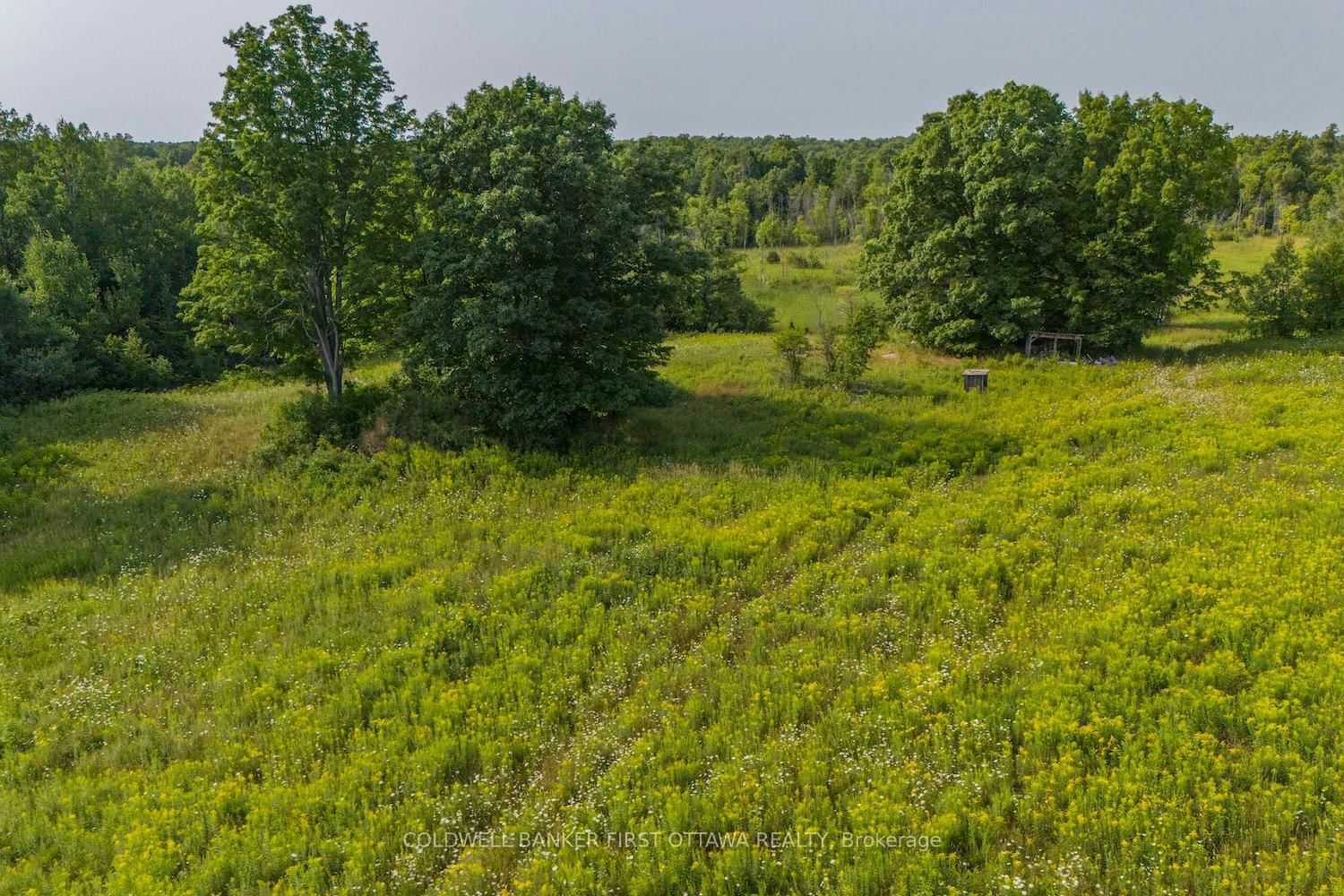 816 Bennett Lake Road • Balderson, ON photo 19