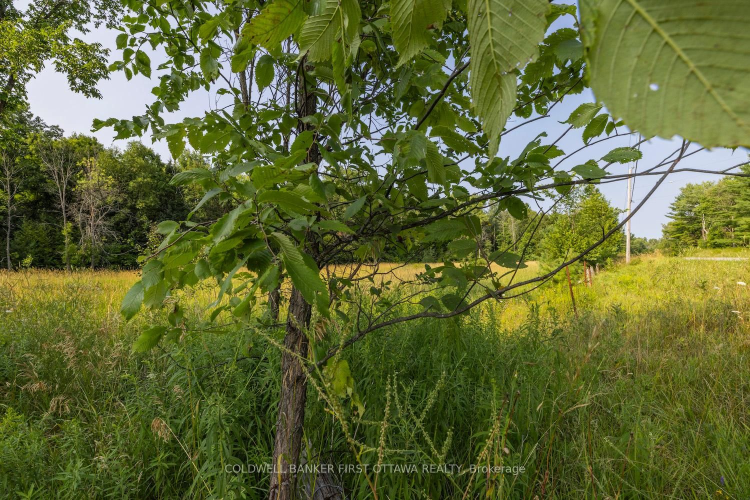 752 Bennett Lake Road • Balderson, ON photo 10