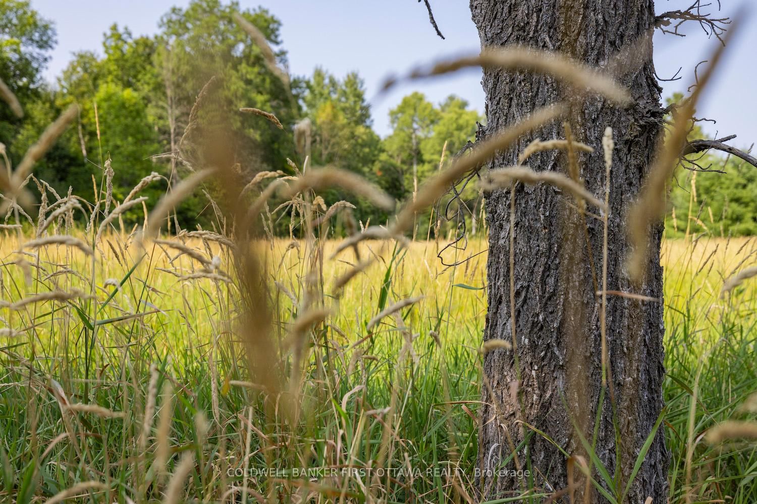 752 Bennett Lake Road • Balderson, ON photo 12