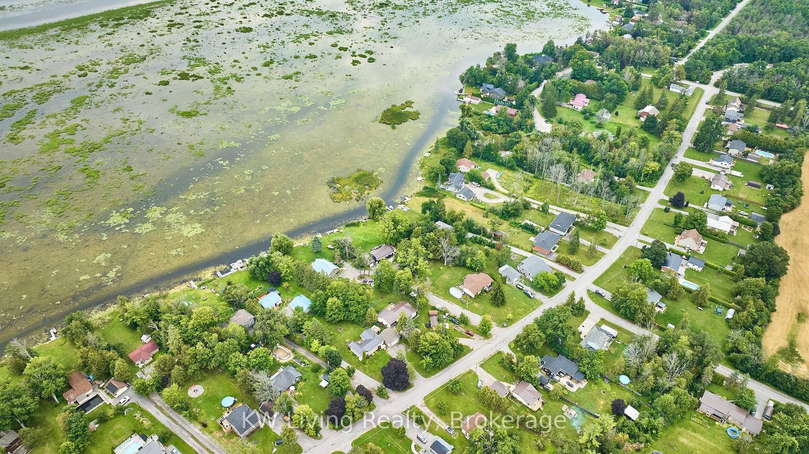 40 Butternut Drive • Kawartha Lakes, ON photo 15