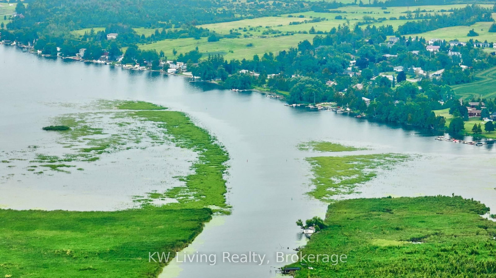 40 Butternut Drive • Kawartha Lakes, ON photo 22