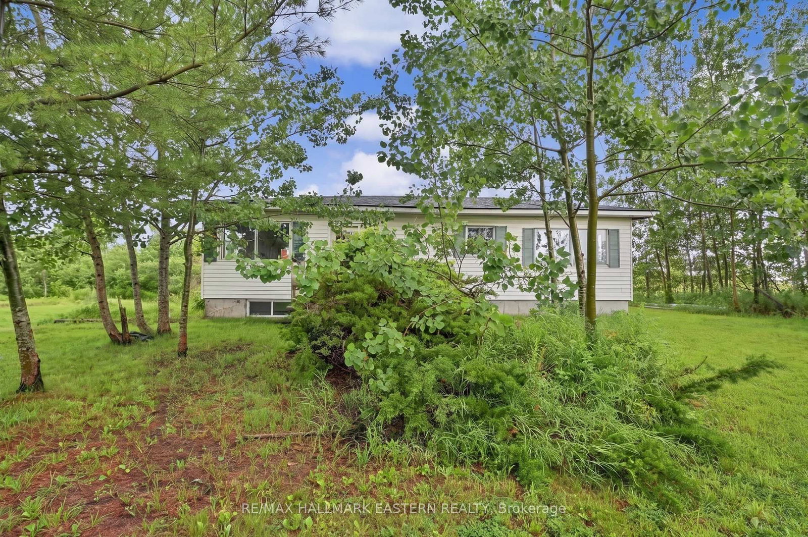 2260 Buckhorn Road • Selwyn, ON photo 25
