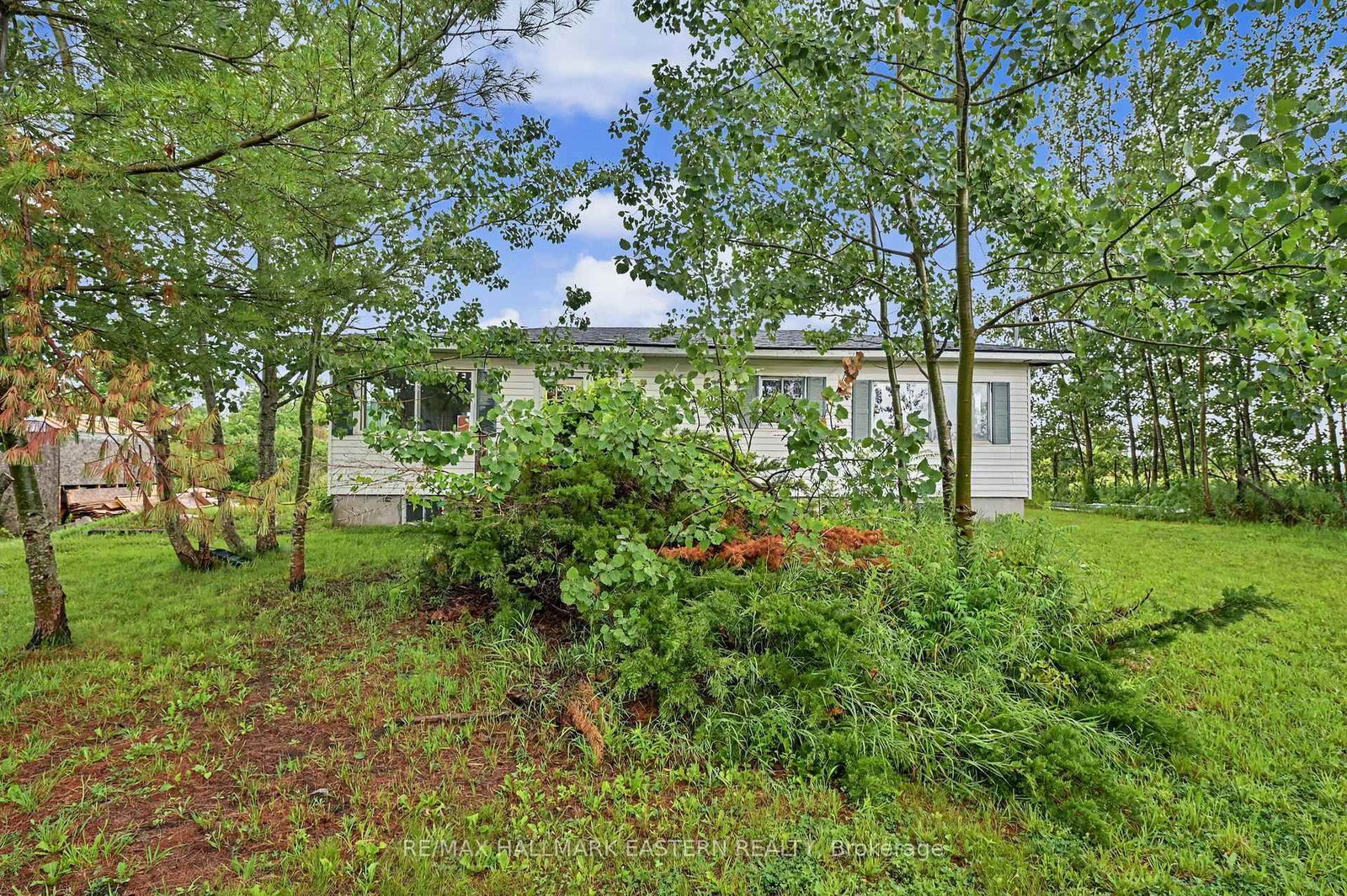 2260 Buckhorn Road • Selwyn, ON photo 26