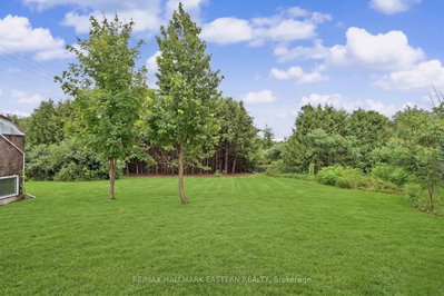 2260 Buckhorn Road • Selwyn, ON photo 3