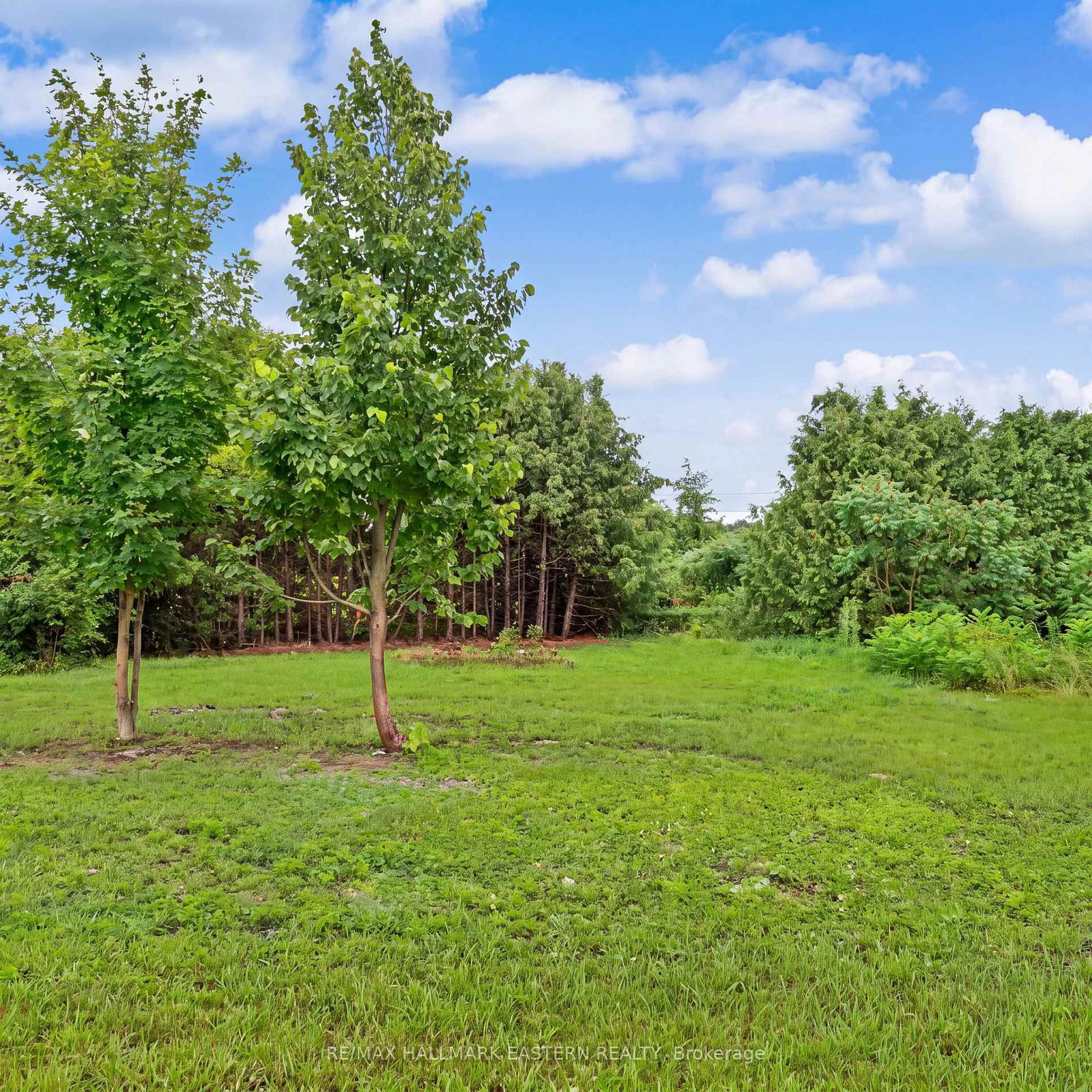 2260 Buckhorn Road • Selwyn, ON photo 34