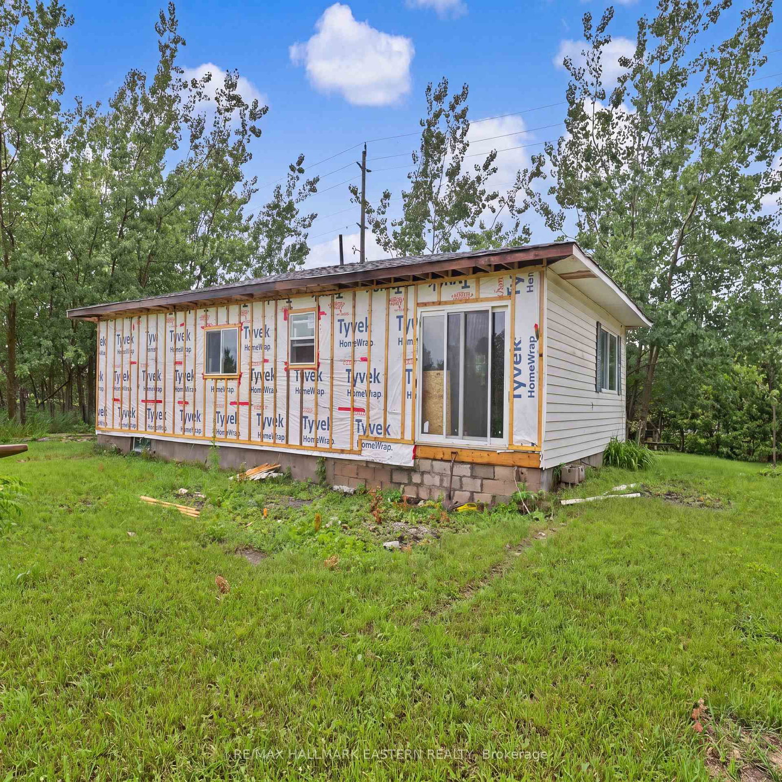 2260 Buckhorn Road • Selwyn, ON photo 35