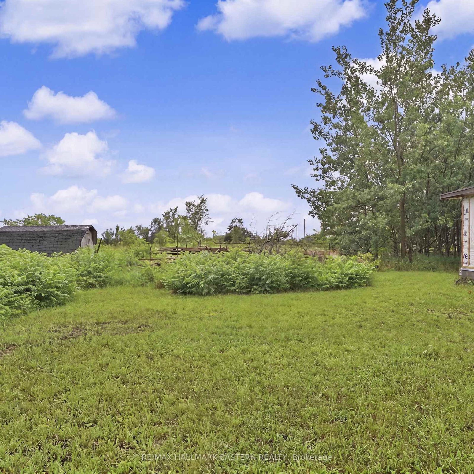 2260 Buckhorn Road • Selwyn, ON photo 36