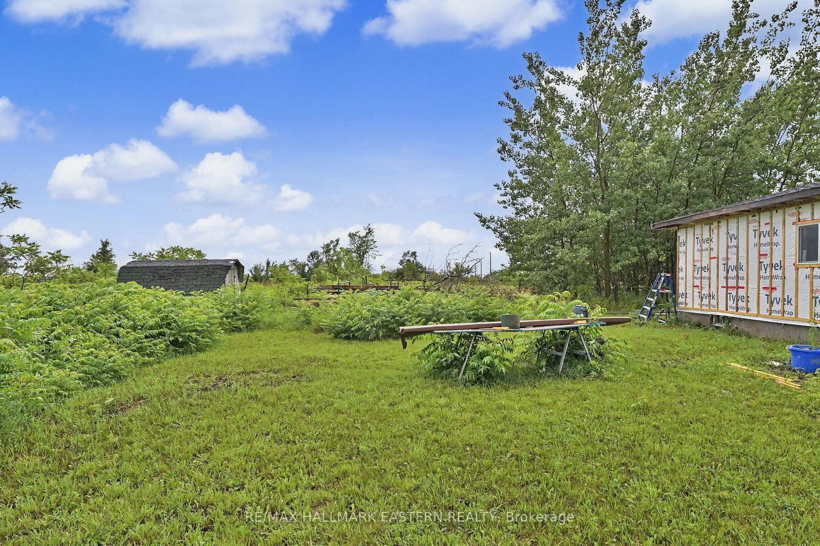 2260 Buckhorn Road • Selwyn, ON photo 5