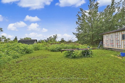 2260 Buckhorn Road • Selwyn, ON photo 5