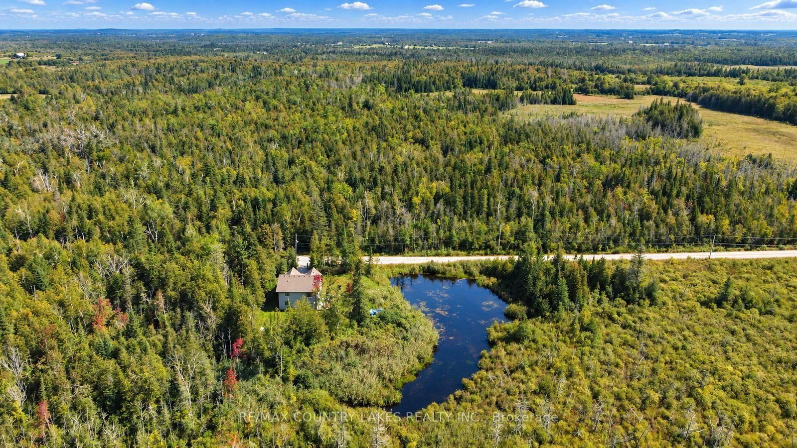 445 Martin's Road • Kawartha Lakes, ON photo 39