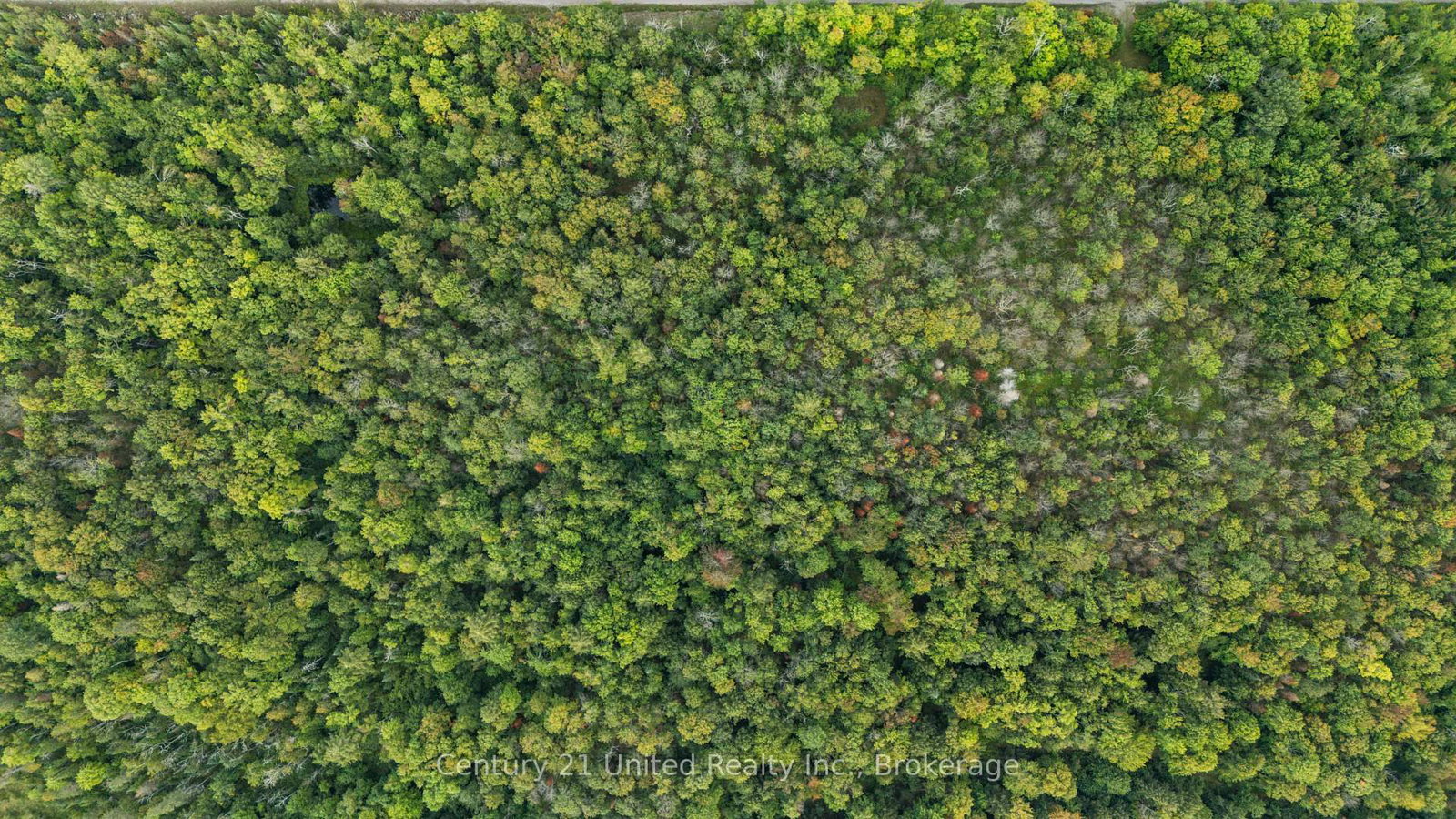 456 County Road 620 • North Kawartha, ON photo 3