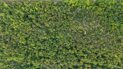 456 County Road 620 • North Kawartha, ON photo 3