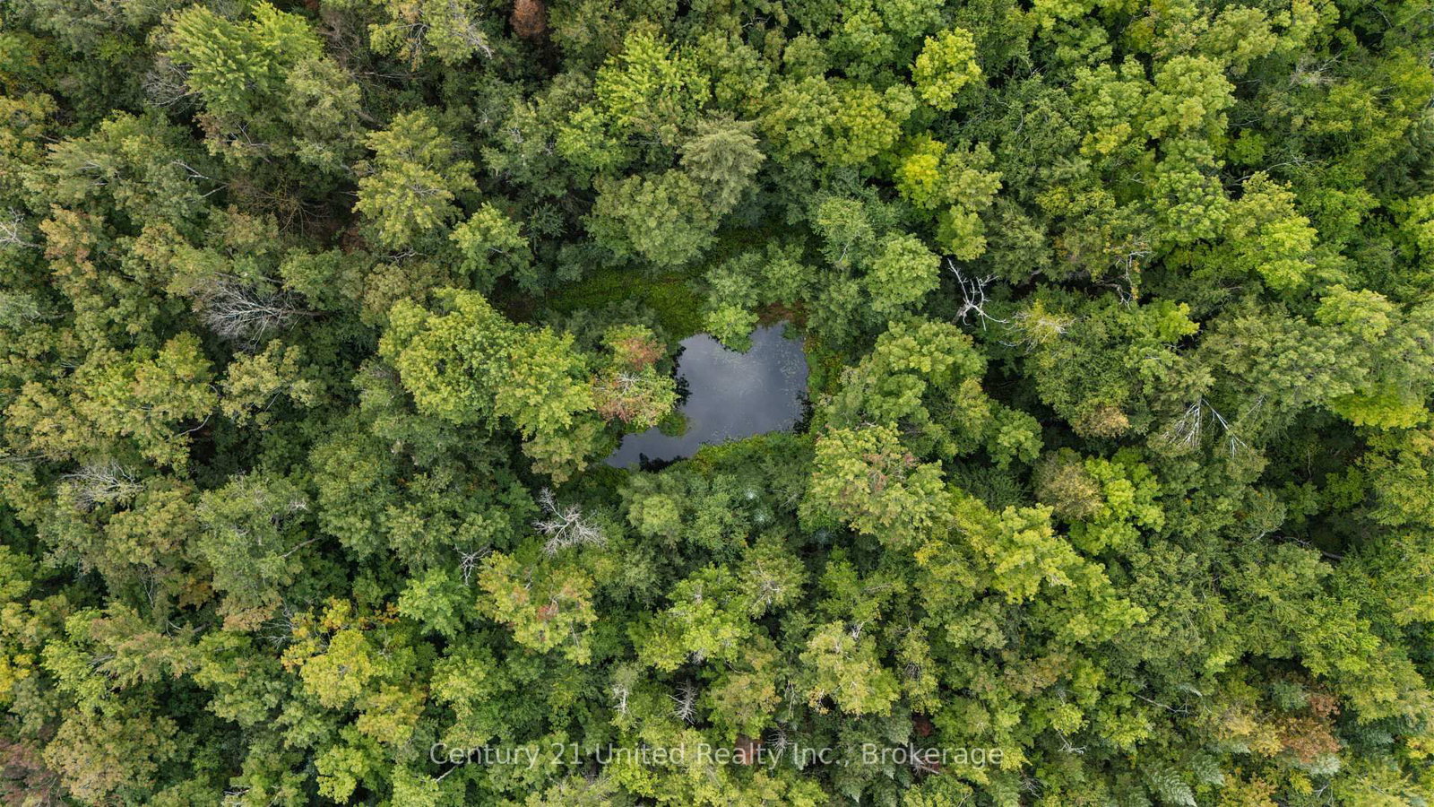 456 County Road 620 • North Kawartha, ON photo 4