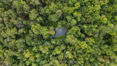 456 County Road 620 • North Kawartha, ON photo 4