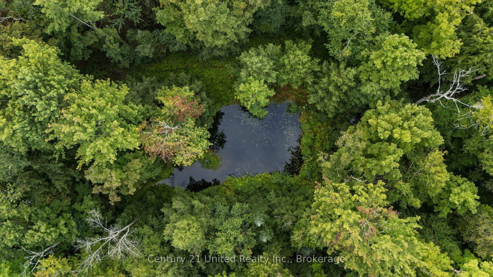 456 County Road 620 • North Kawartha, ON photo 5