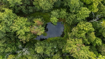 456 County Road 620 • North Kawartha, ON photo 5